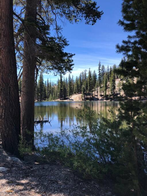 Mammoth Awesome Location-1 Min To Shuttles & Food! Toml-Cpan-11402 Apartment Mammoth Lakes Exterior foto